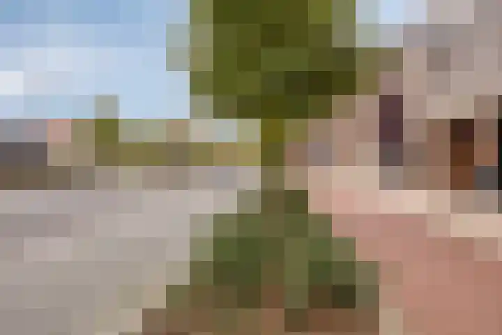 Spoorlaan 450 70 Tilburg thumbnail 21