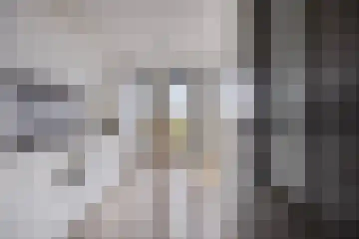 Spoorlaan 450 70 Tilburg thumbnail 8