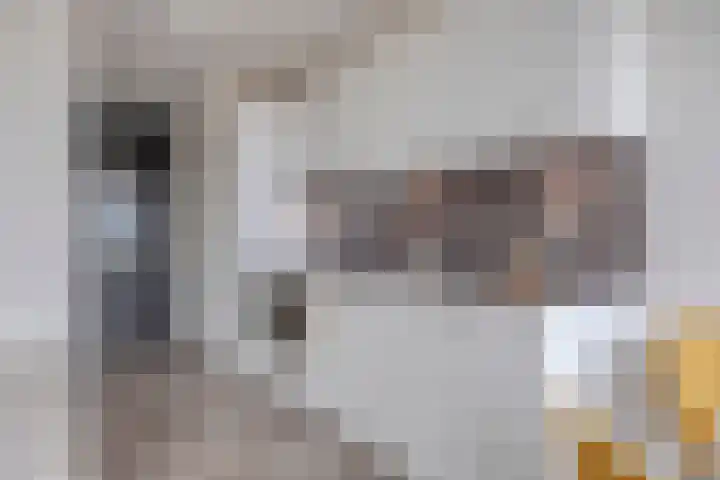 Spoorlaan 450 72 Tilburg thumbnail 13