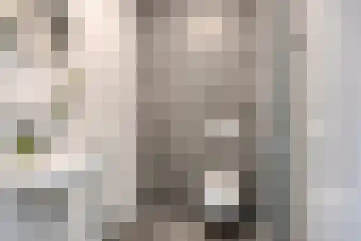 Spoorlaan 450 72 Tilburg thumbnail 19