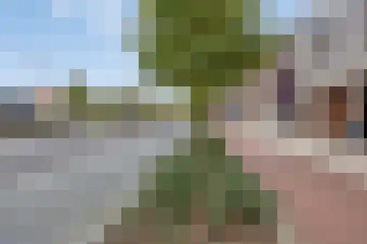 Spoorlaan 450 72 Tilburg thumbnail 20