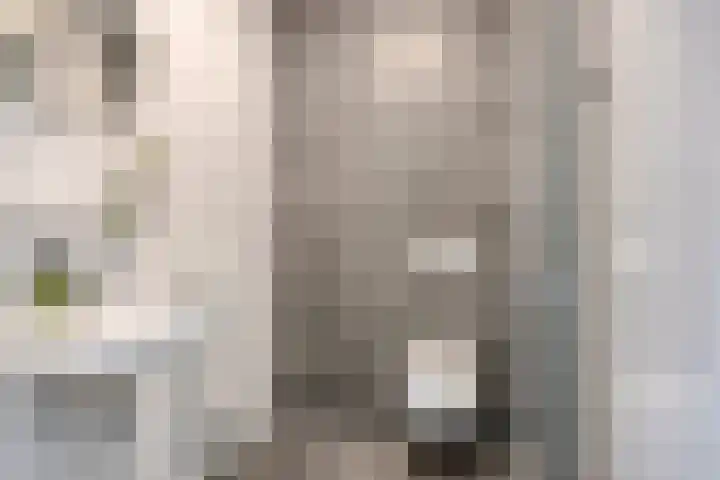 Spoorlaan 450 72 Tilburg thumbnail 4