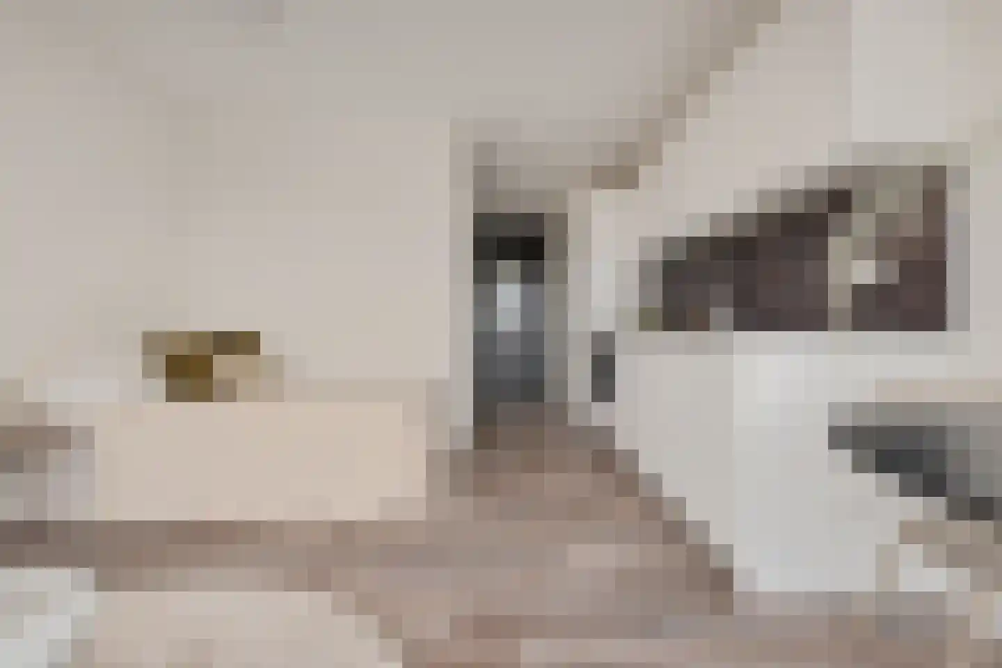Spoorlaan 450 75 Tilburg thumbnail 26