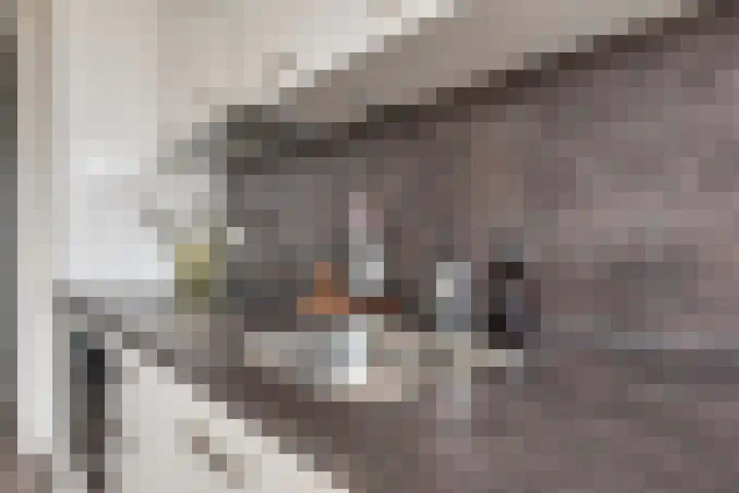 Spoorlaan 450 75 Tilburg thumbnail 27