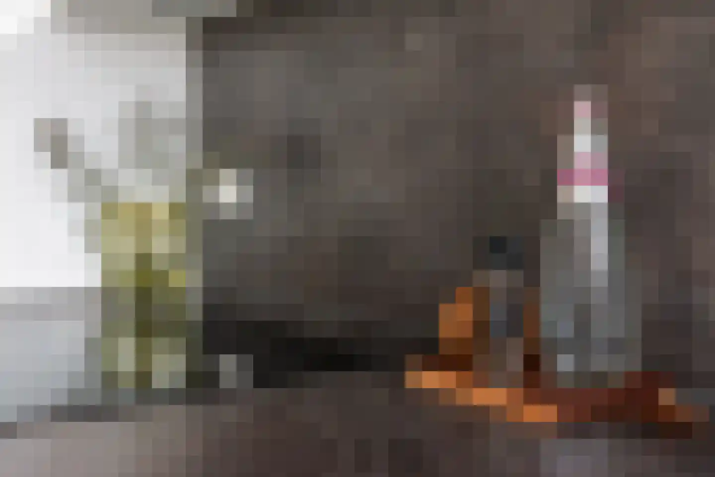 Spoorlaan 450 75 Tilburg thumbnail 28