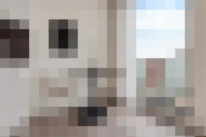 Spoorlaan 450 76 Tilburg thumbnail 19