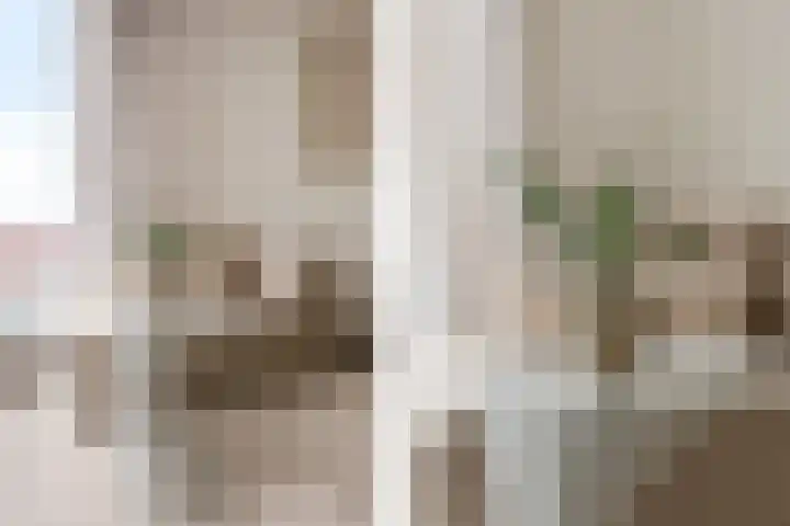 Spoorlaan 450 76 Tilburg thumbnail 21