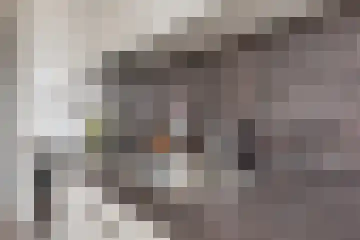 Spoorlaan 450 76 Tilburg thumbnail 26