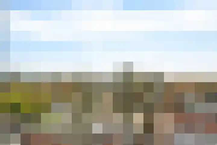 Spoorlaan 450 76 Tilburg thumbnail 35