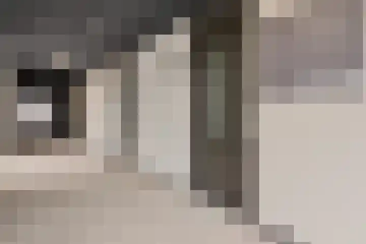 Spoorlaan 450 76 Tilburg thumbnail 7