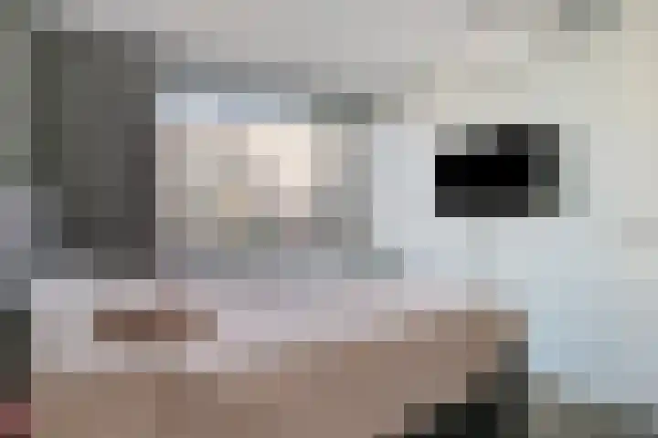 Spoorlaan 46 E Oss thumbnail 18