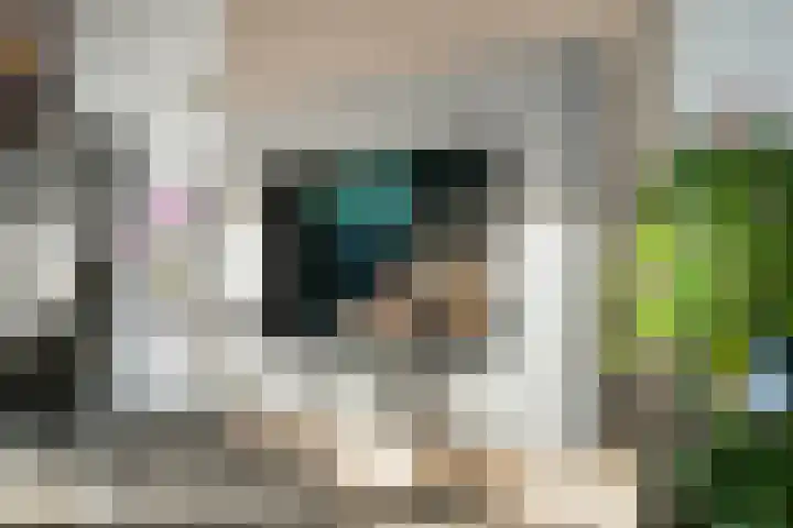 Spoorlaan 46 E Oss thumbnail 4
