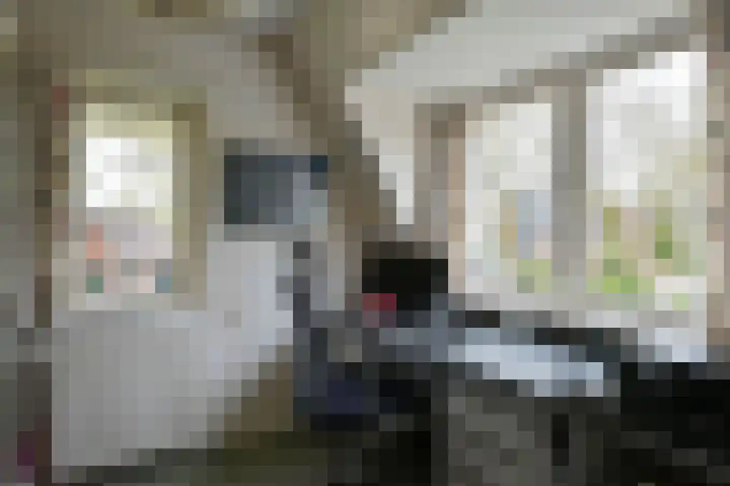 Spoorlaan 47 Hollandsche Rading thumbnail 20