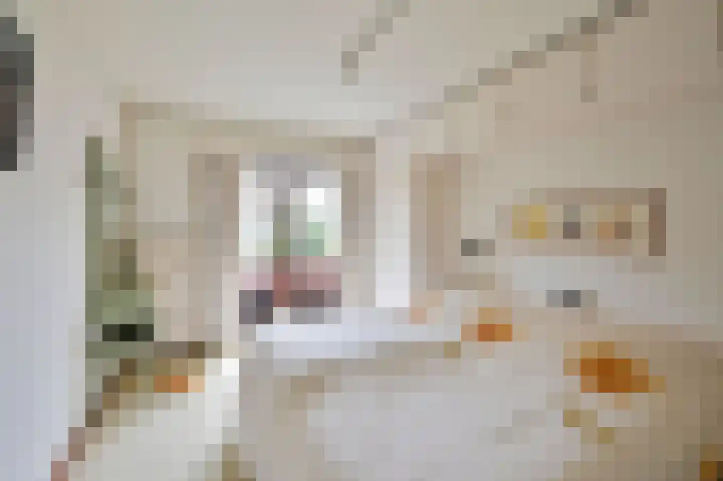 Spoorlaan 47 Hollandsche Rading thumbnail 24