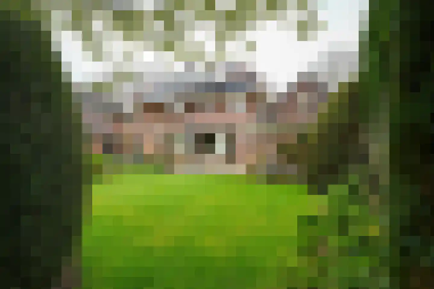 Spoorlaan 47 Hollandsche Rading thumbnail 26