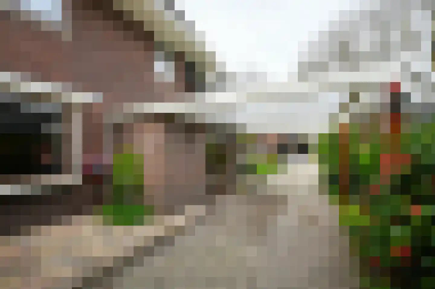 Spoorlaan 47 Hollandsche Rading thumbnail 28