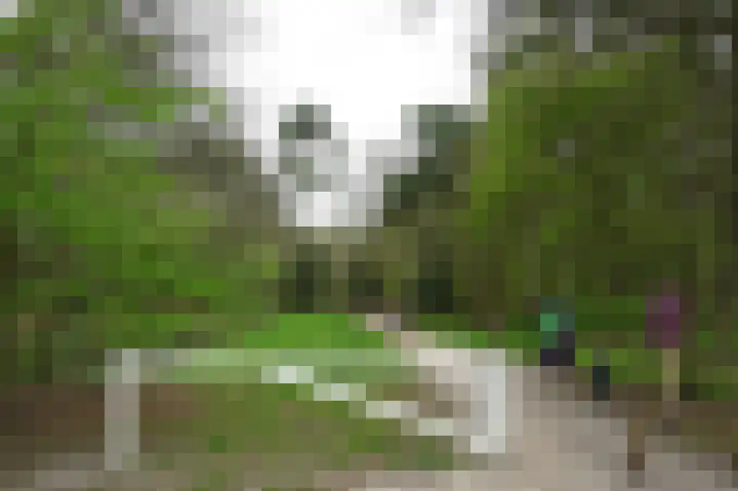 Spoorlaan 47 Hollandsche Rading thumbnail 36