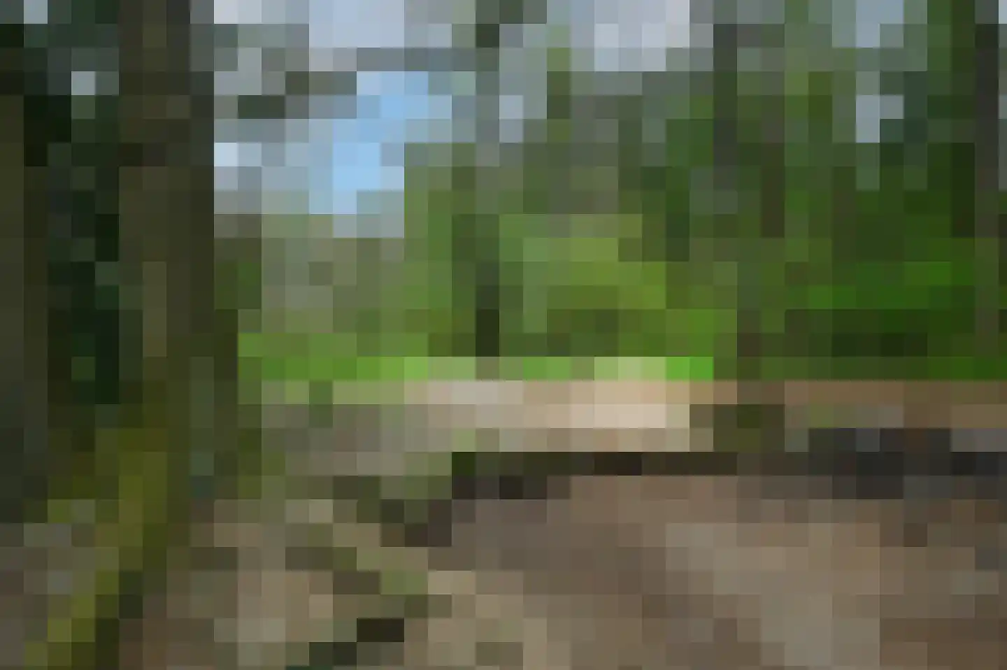 Spoorlaan 47 Hollandsche Rading thumbnail 37