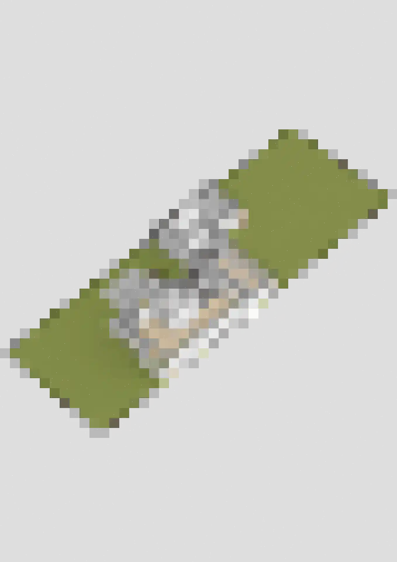 Spoorlaan 47 Hollandsche Rading thumbnail 45