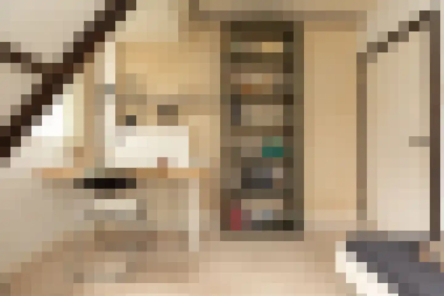Spoorlaan 50 Hollandsche Rading thumbnail 22