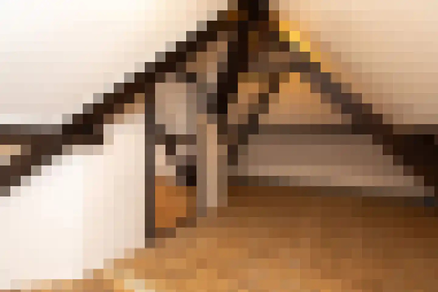 Spoorlaan 50 Hollandsche Rading thumbnail 25