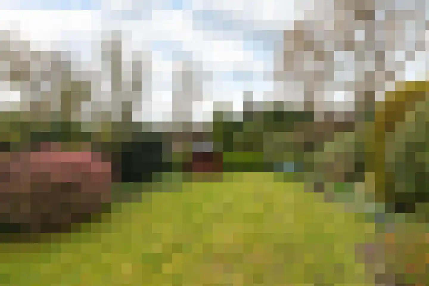 Spoorlaan 50 Hollandsche Rading thumbnail 28