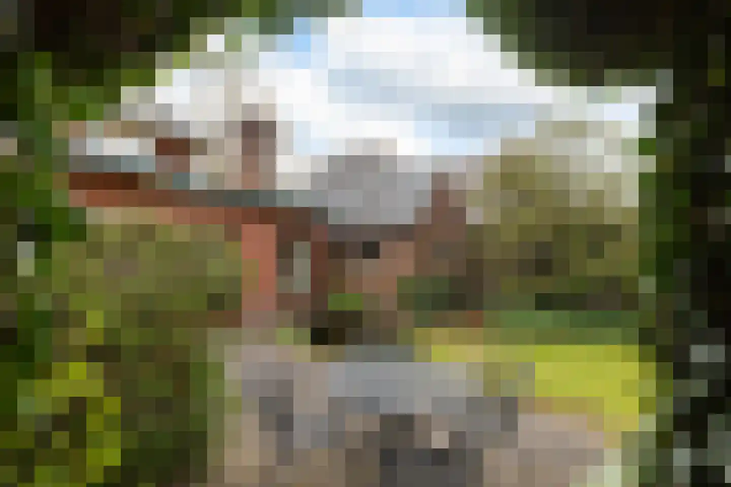 Spoorlaan 50 Hollandsche Rading thumbnail 29