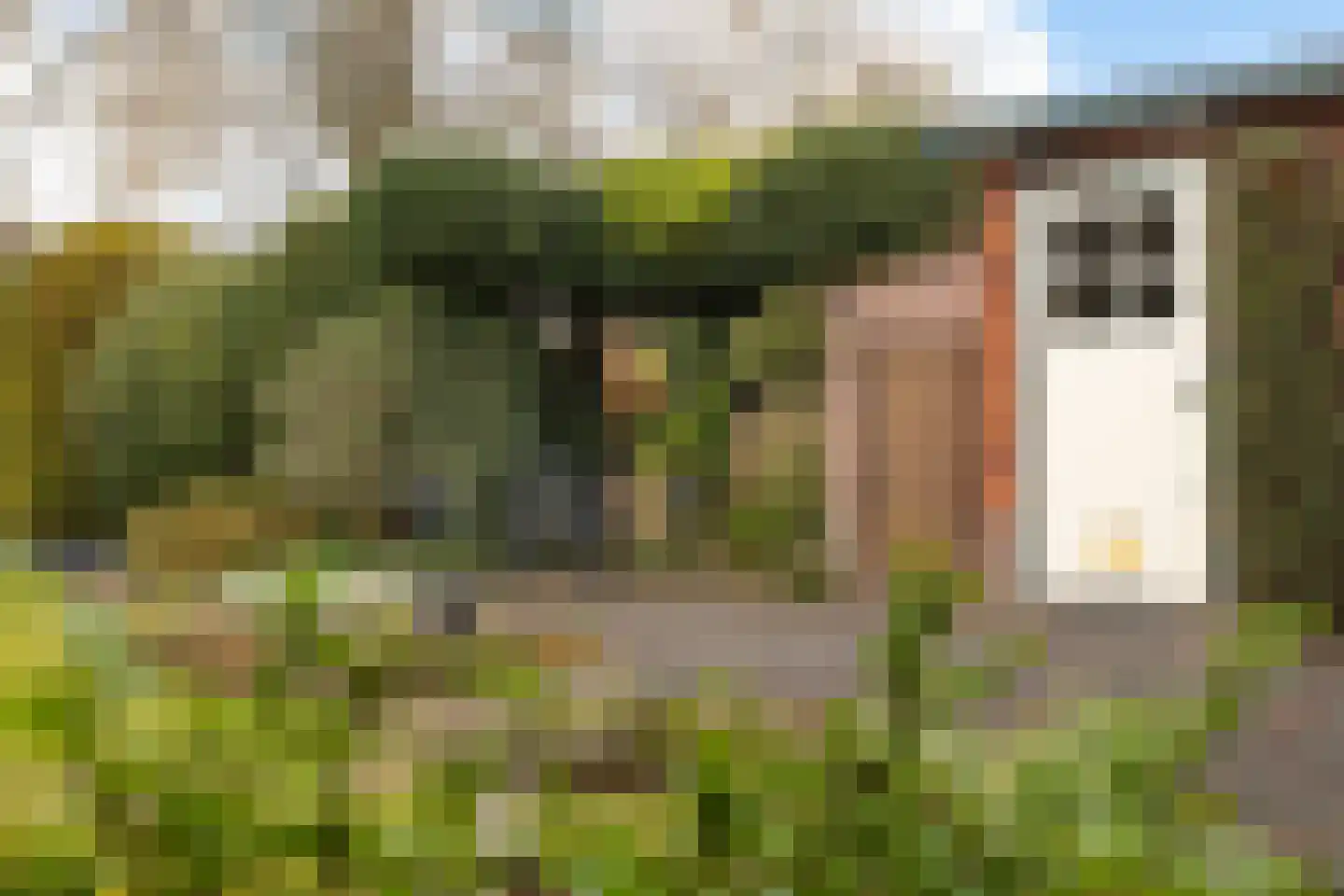 Spoorlaan 50 Hollandsche Rading thumbnail 30