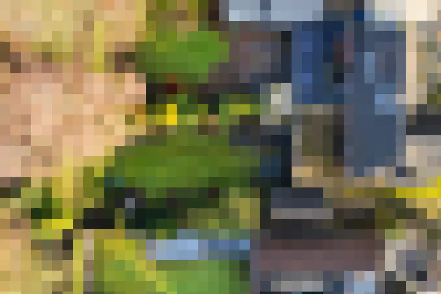 Spoorlaan 50 Hollandsche Rading thumbnail 34