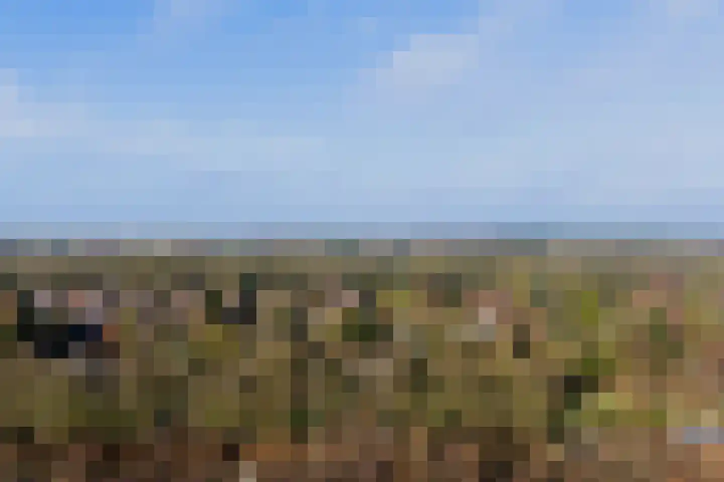 Spoorlaan 50 Hollandsche Rading thumbnail 36