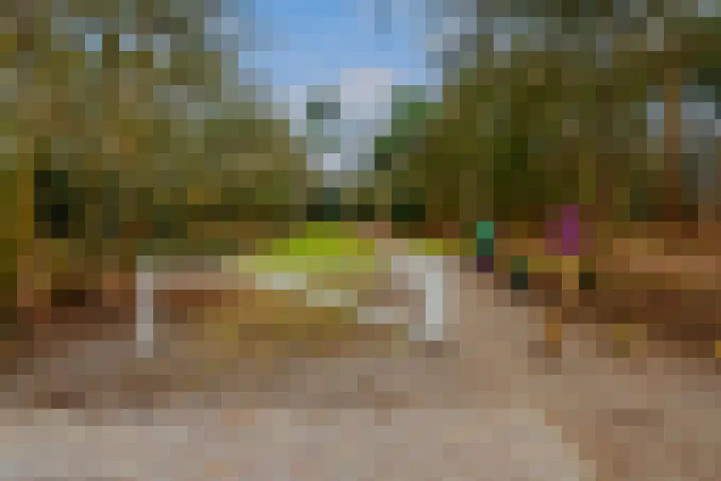 Spoorlaan 50 Hollandsche Rading thumbnail 37