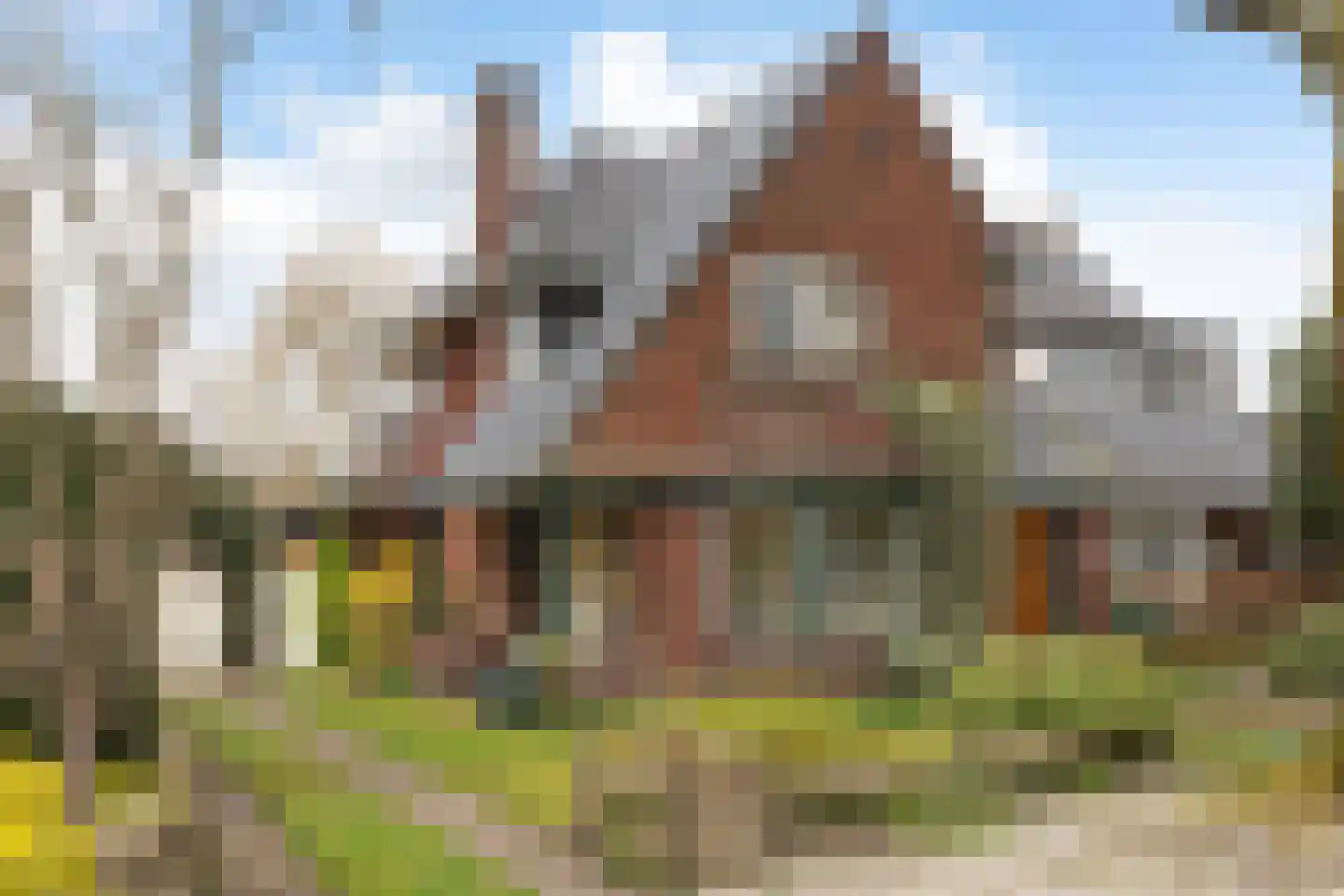 Spoorlaan 50 Hollandsche Rading thumbnail 4