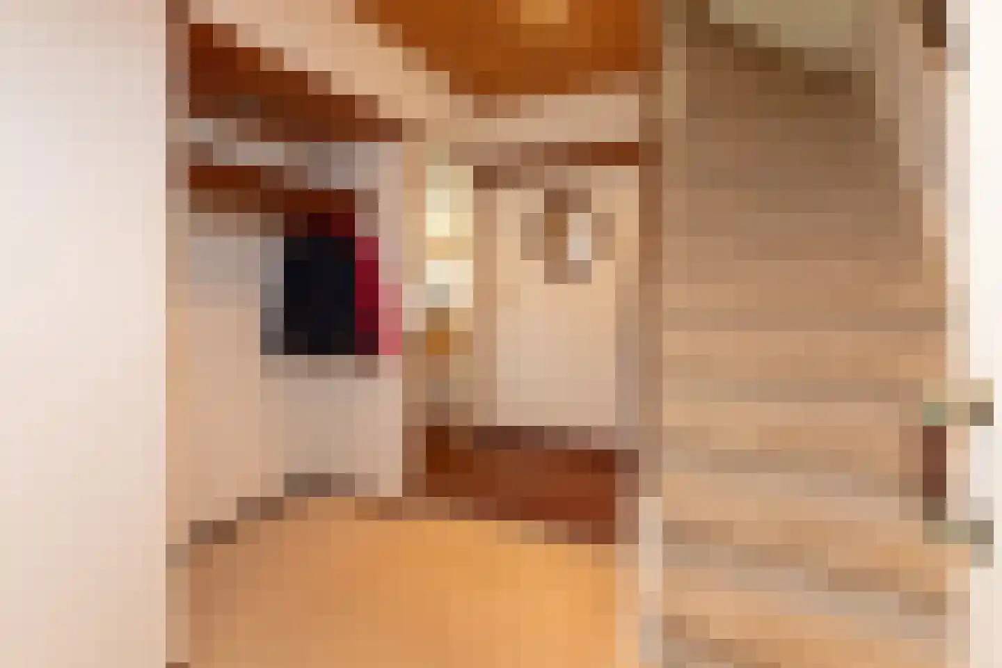 Spoorlaan 50 Hollandsche Rading thumbnail 7