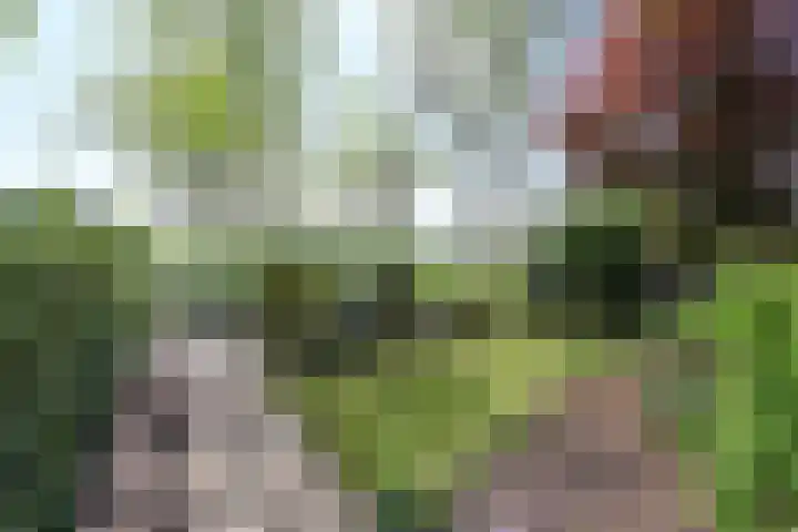 Spoorlaan 56 Vreeland thumbnail 20