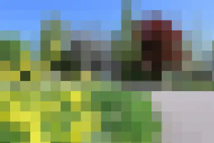 Spoorlaan 56 Vreeland thumbnail 23