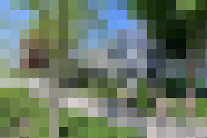 Spoorlaan 56 Vreeland thumbnail 32