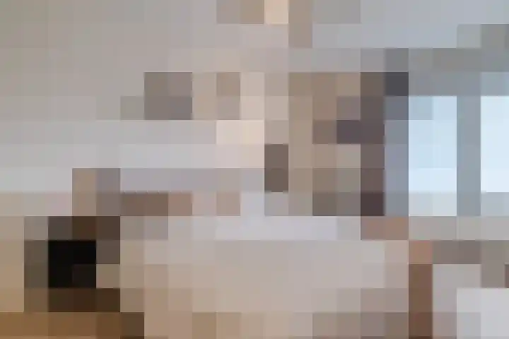 Spoorlaan 59 Abcoude thumbnail 12