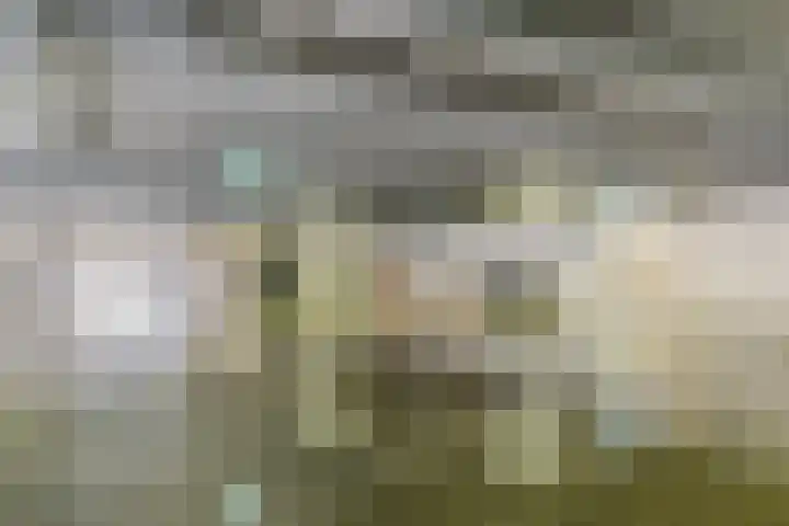 Spoorlaan 59 Abcoude thumbnail 26