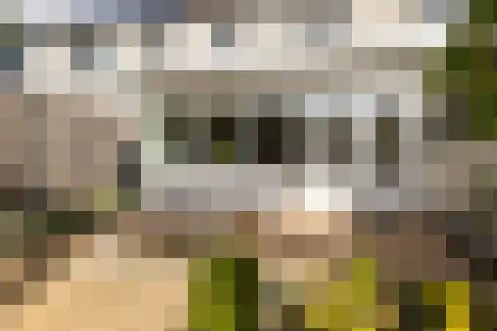 Spoorlaan 6 Veenendaal thumbnail 27