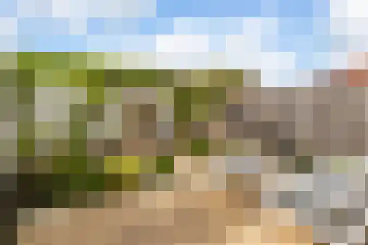 Spoorlaan 6 Veenendaal thumbnail 28