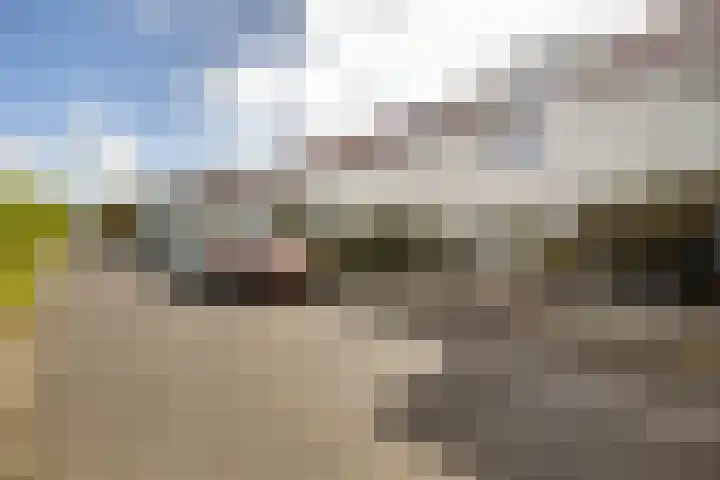 Spoorlaan 6 Veenendaal thumbnail 32
