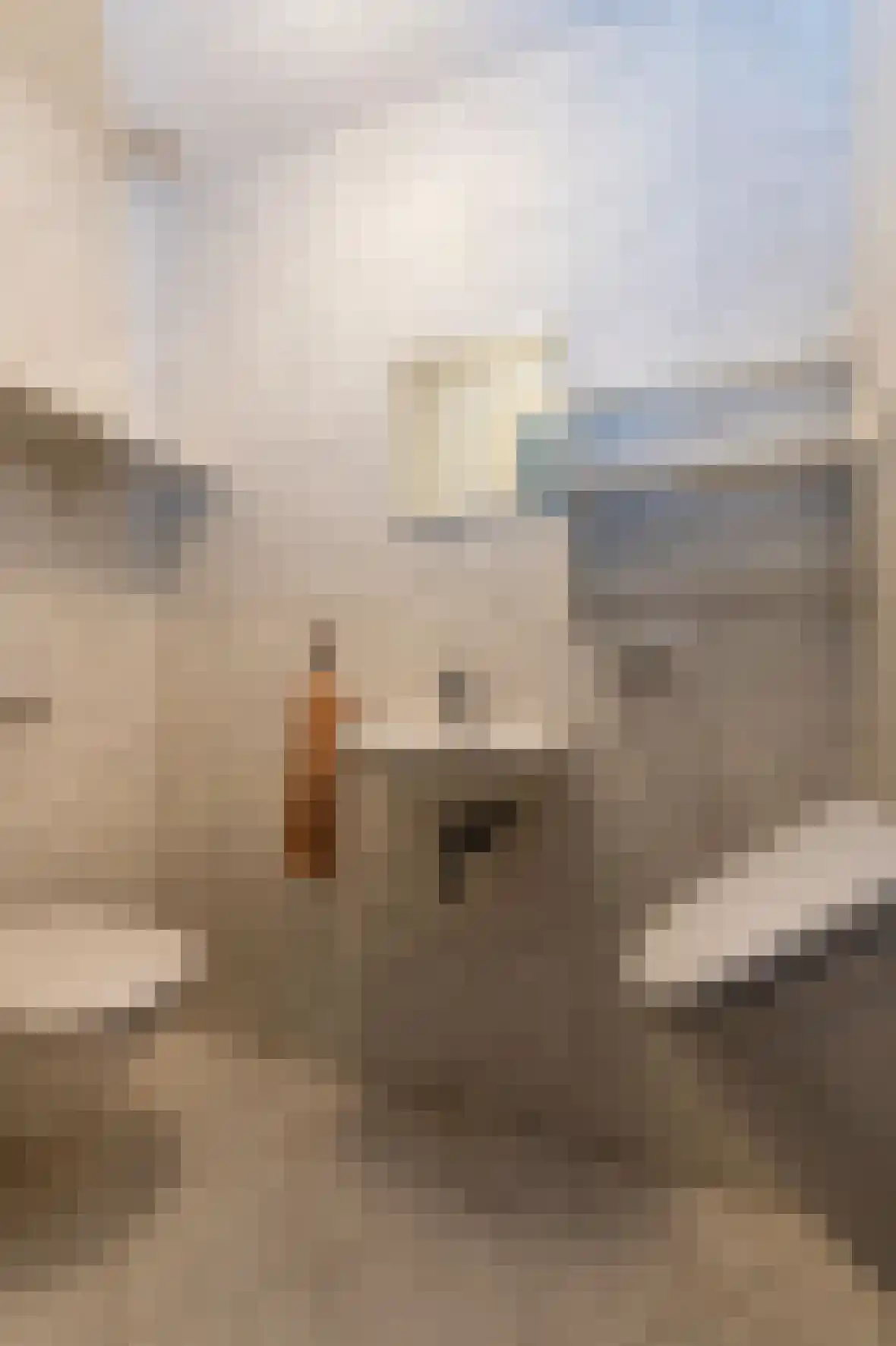 Spoorlaan 6 Veghel thumbnail 13
