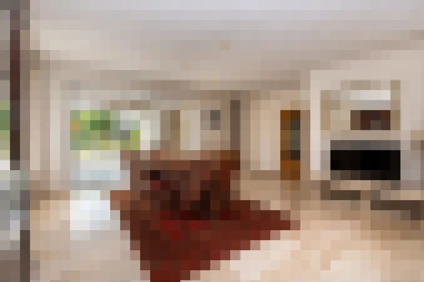 Spoorlaan 6 Veghel thumbnail 16