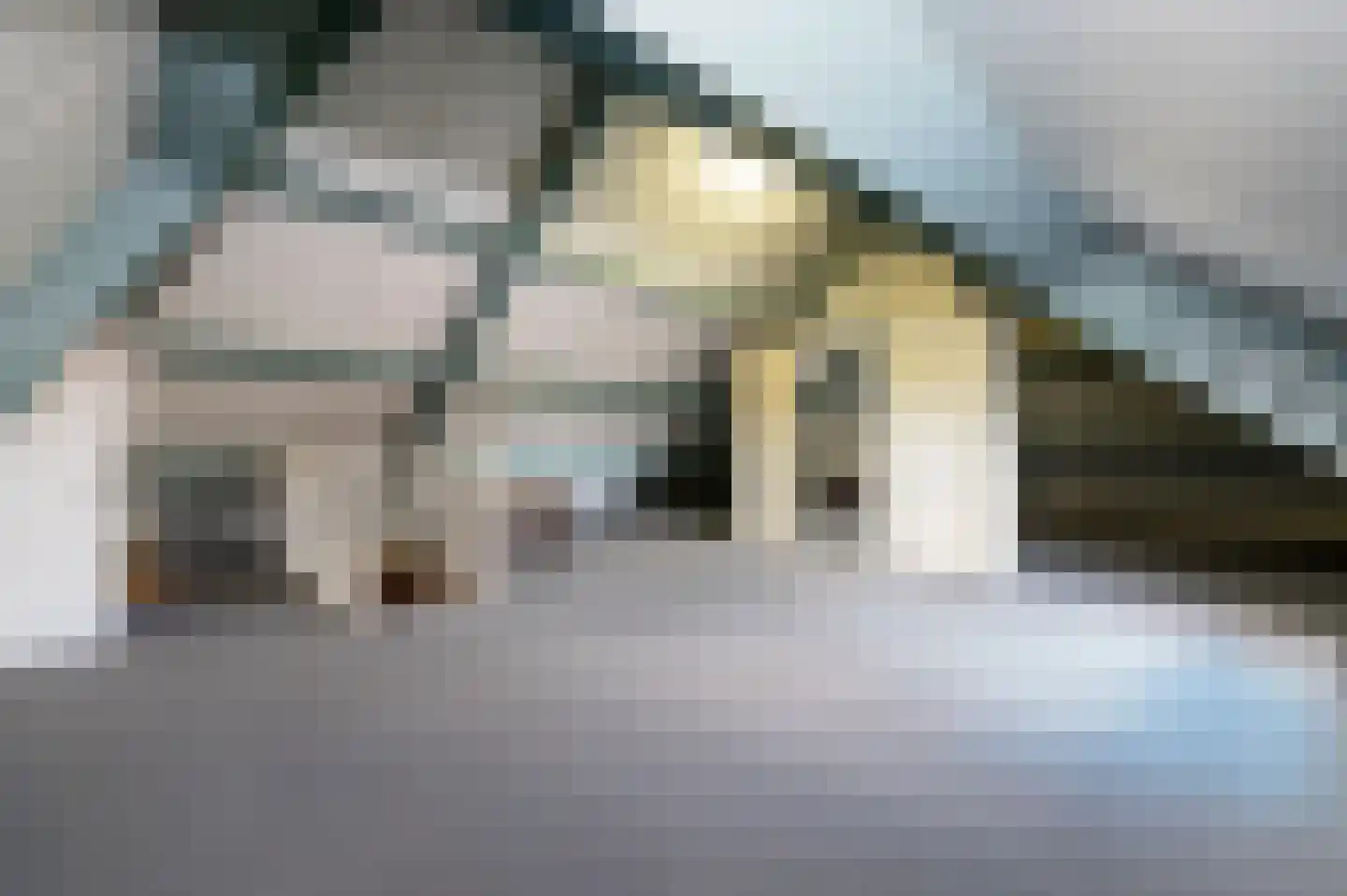 Spoorlaan 6 Veghel thumbnail 45