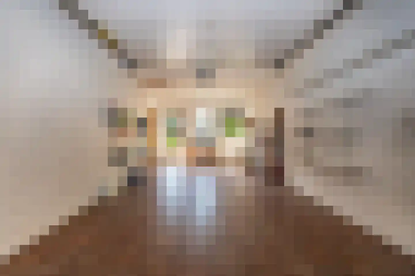 Spoorlaan 6 Veghel thumbnail 47