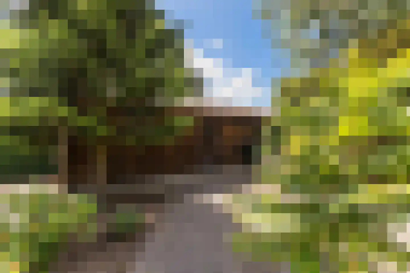 Spoorlaan 6 Veghel thumbnail 52