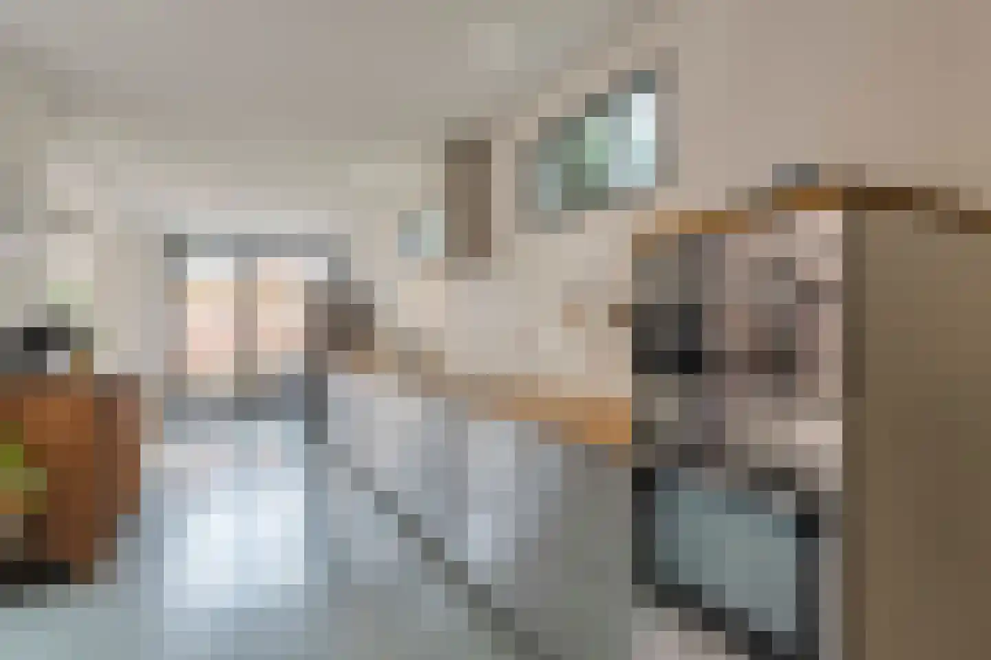 Spoorlaan 60 Tilburg thumbnail 18