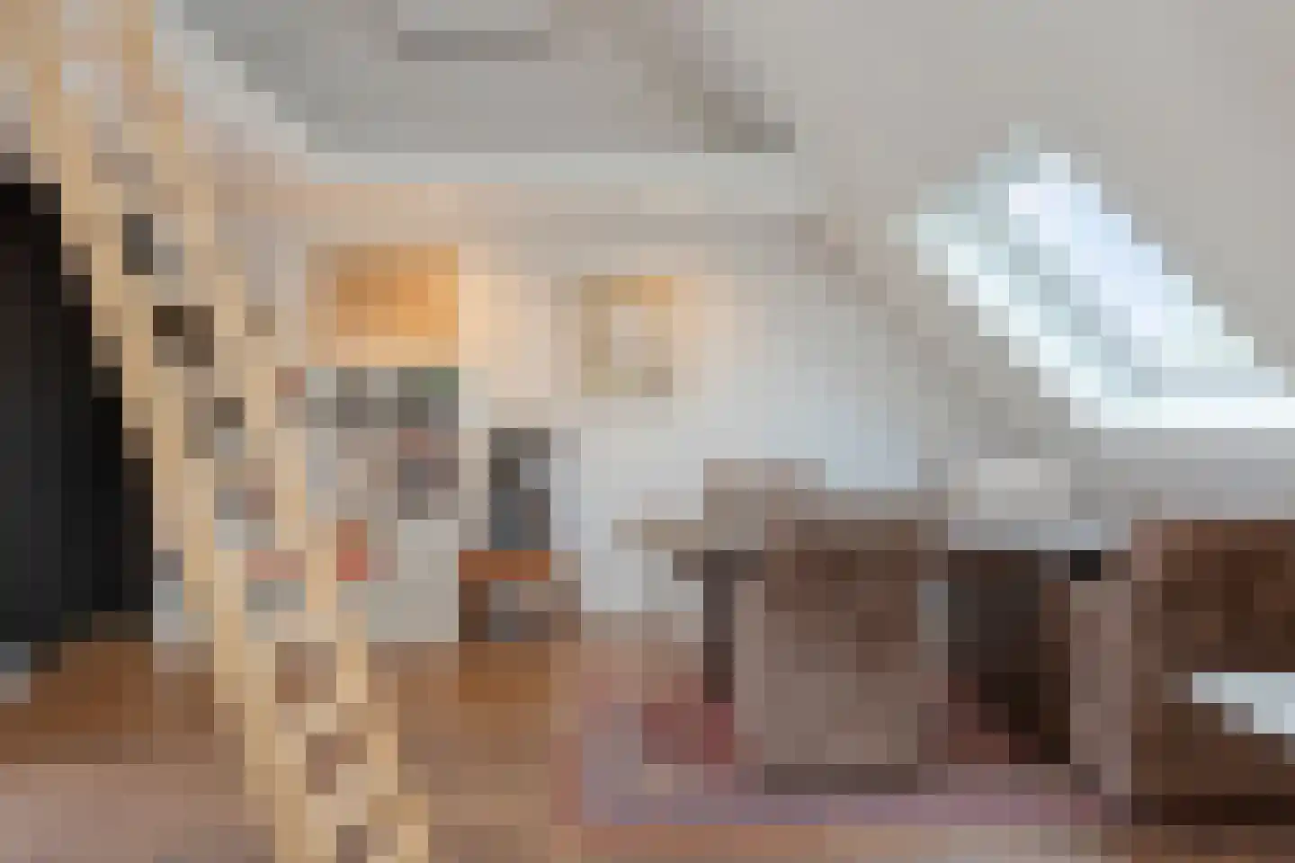 Spoorlaan 60 Tilburg thumbnail 64