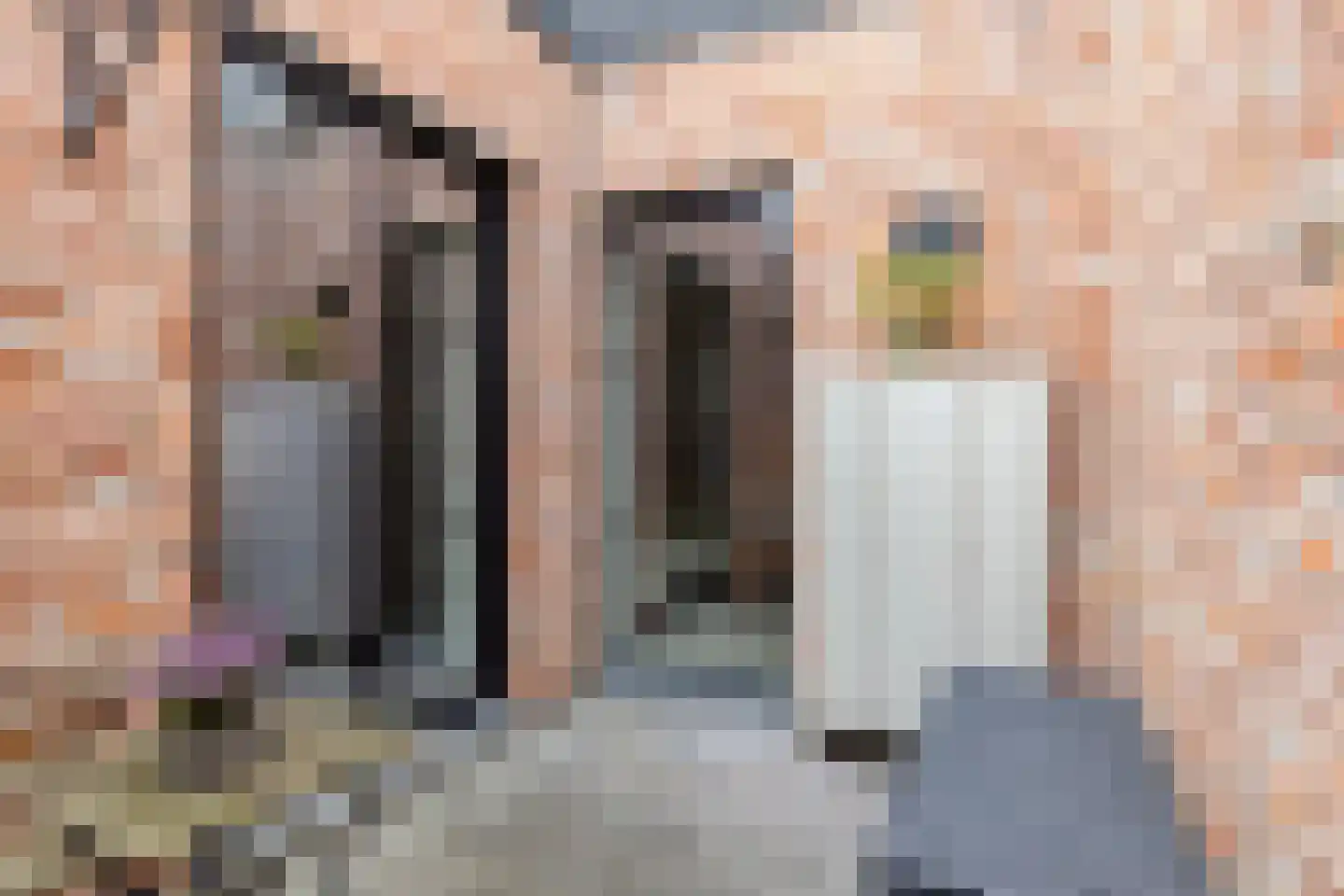 Spoorlaan 60 Tilburg thumbnail 76