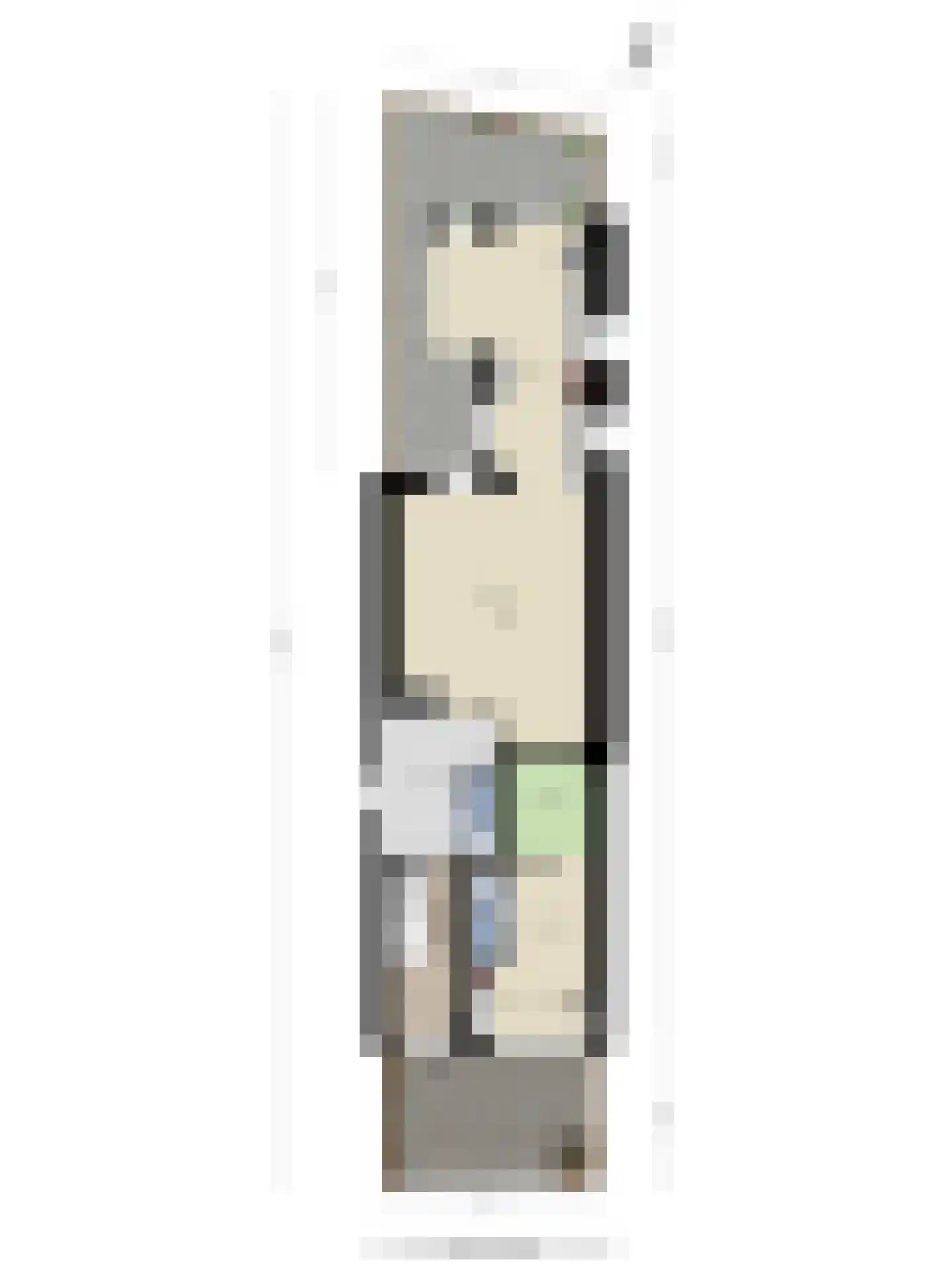 Spoorlaan 60 Tilburg thumbnail 79